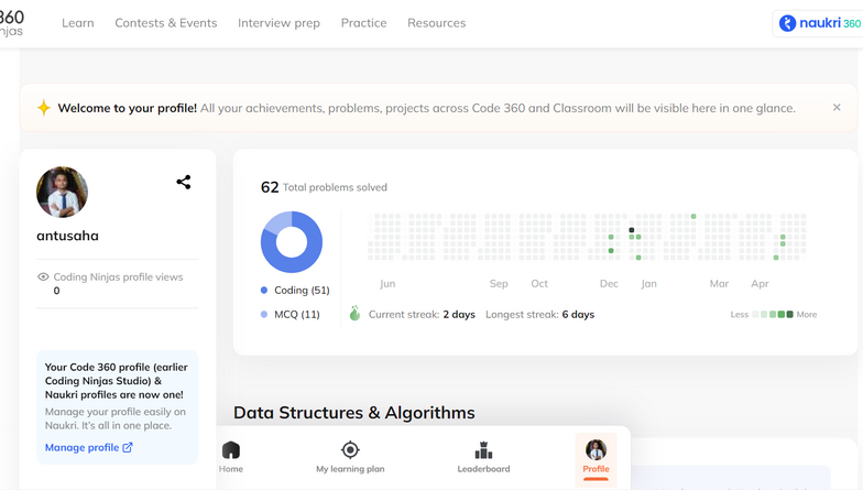 problem solving profile